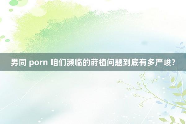 男同 porn 咱们濒临的莳植问题到底有多严峻?