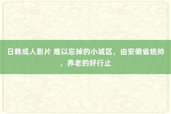 日韩成人影片 难以忘掉的小城区，由安徽省统帅，养老的好行止