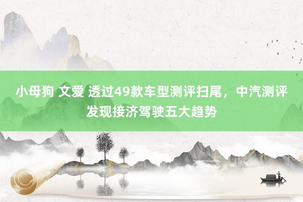 小母狗 文爱 透过49款车型测评扫尾，中汽测评发现接济驾驶五大趋势