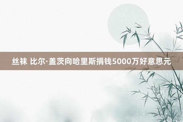 丝袜 比尔·盖茨向哈里斯捐钱5000万好意思元