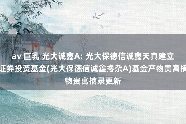 av 巨乳 光大诚鑫A: 光大保德信诚鑫天真建立搀杂型证券投资基金(光大保德信诚鑫搀杂A)基金产物贵寓摘录更新