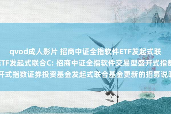 qvod成人影片 招商中证全指软件ETF发起式联合A,招商中证全指软件ETF发起式联合C: 招商中证全指软件交易型盛开式指数证券投资基金发起式联合基金更新的招募说明书(二零二四年第二号)