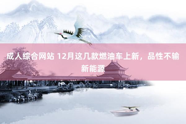 成人综合网站 12月这几款燃油车上新，品性不输新能源