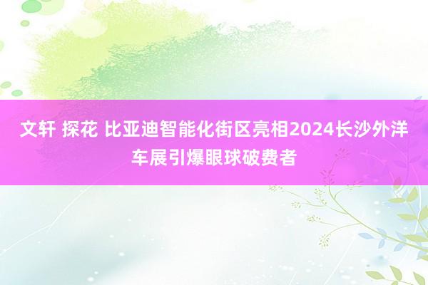 文轩 探花 比亚迪智能化街区亮相2024长沙外洋车展引爆眼球破费者