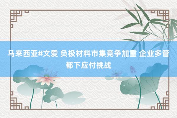 马来西亚#文爱 负极材料市集竞争加重 企业多管都下应付挑战