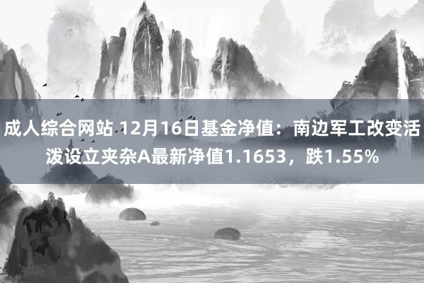成人综合网站 12月16日基金净值：南边军工改变活泼设立夹杂A最新净值1.1653，跌1.55%