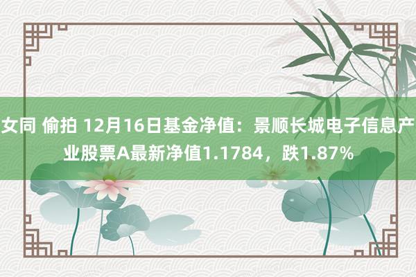 女同 偷拍 12月16日基金净值：景顺长城电子信息产业股票A最新净值1.1784，跌1.87%