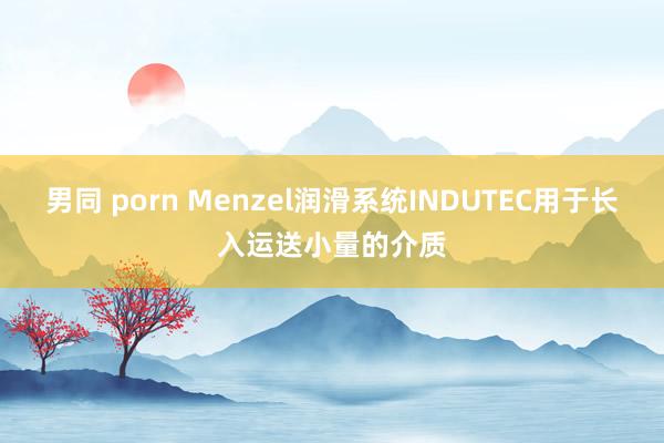 男同 porn Menzel润滑系统INDUTEC用于长入运送小量的介质
