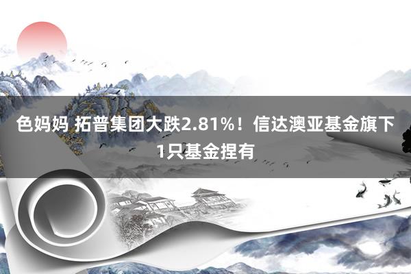 色妈妈 拓普集团大跌2.81%！信达澳亚基金旗下1只基金捏有