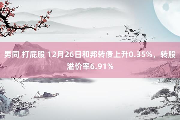 男同 打屁股 12月26日和邦转债上升0.35%,转股溢价率6.91%