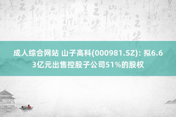 成人综合网站 山子高科(000981.SZ): 拟6.63亿元出售控股子公司51%的股权