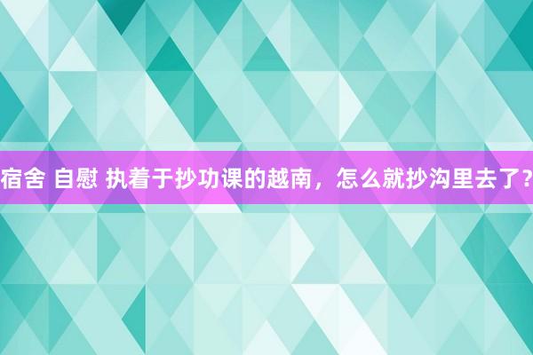 宿舍 自慰 执着于抄功课的越南，怎么就抄沟里去了？