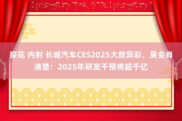 探花 内射 长城汽车CES2025大放异彩，吴会肖清楚：2025年研发干预将超千亿
