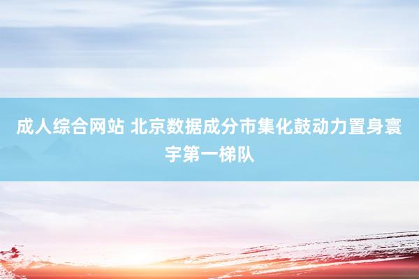成人综合网站 北京数据成分市集化鼓动力置身寰宇第一梯队
