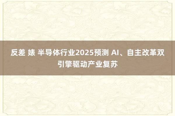 反差 婊 半导体行业2025预测 AI、自主改革双引擎驱动产业复苏