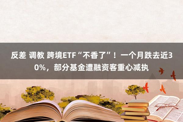 反差 调教 跨境ETF“不香了”！一个月跌去近30%，部分基金遭融资客重心减执