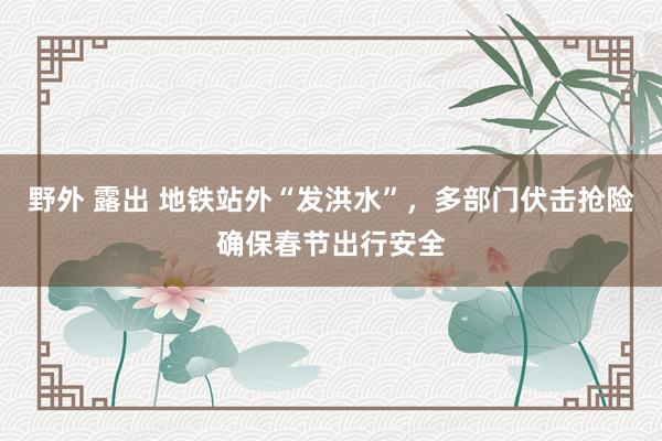 野外 露出 地铁站外“发洪水”，多部门伏击抢险确保春节出行安全