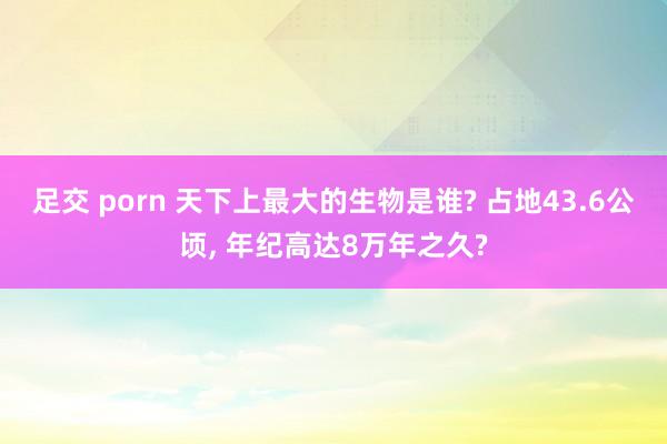 足交 porn 天下上最大的生物是谁? 占地43.6公顷， 年纪高达8万年之久?