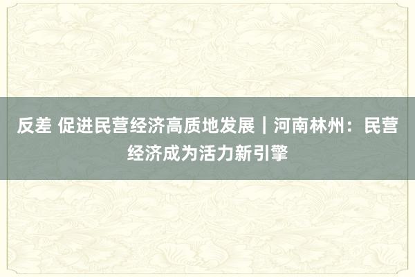反差 促进民营经济高质地发展｜河南林州：民营经济成为活力新引擎