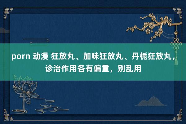 porn 动漫 狂放丸、加味狂放丸、丹栀狂放丸，诊治作用各有偏重，别乱用
