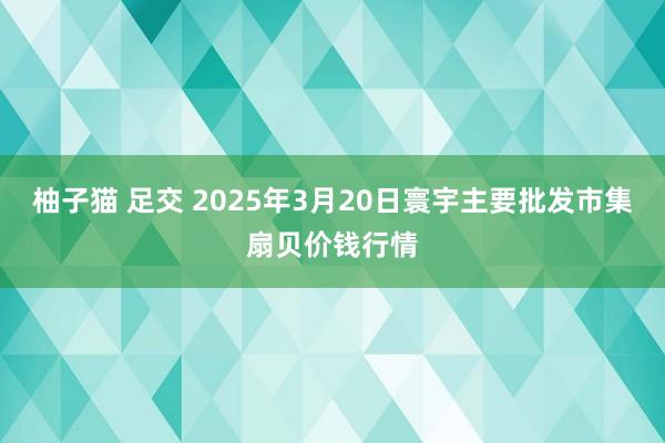 柚子猫 足交 2025年3月20日寰宇主要批发市集扇贝价钱行情
