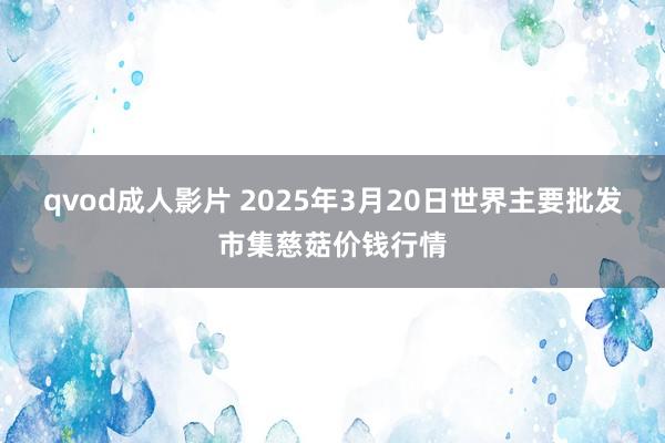 qvod成人影片 2025年3月20日世界主要批发市集慈菇价钱行情