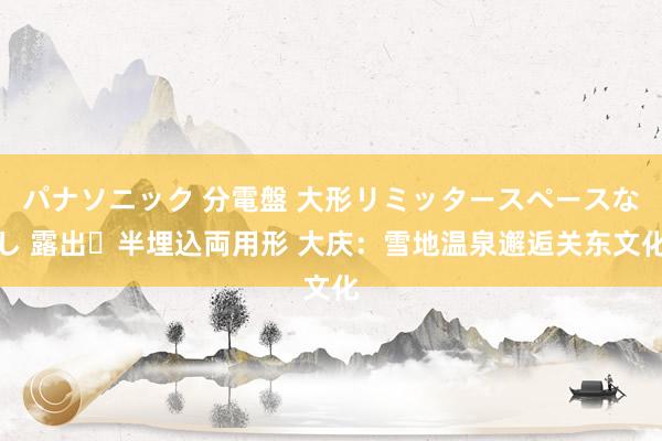 パナソニック 分電盤 大形リミッタースペースなし 露出・半埋込両用形 大庆：雪地温泉邂逅关东文化