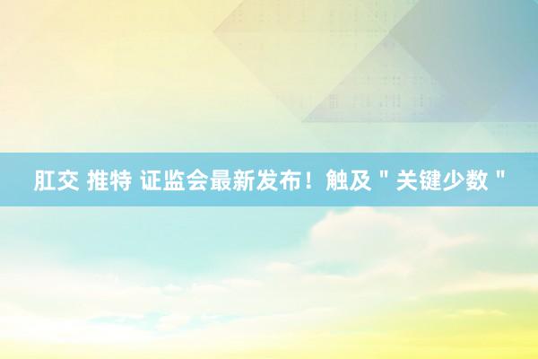 肛交 推特 证监会最新发布！触及＂关键少数＂