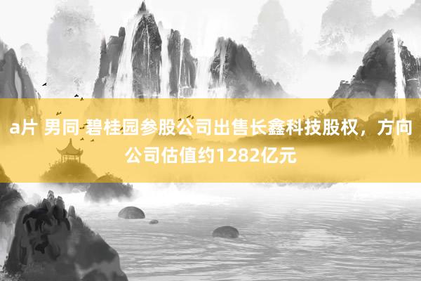 a片 男同 碧桂园参股公司出售长鑫科技股权，方向公司估值约1282亿元