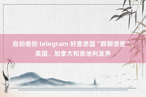 自拍偷拍 telegram 好意思国“群聊泄密”，英国、加拿大和奥地利发声