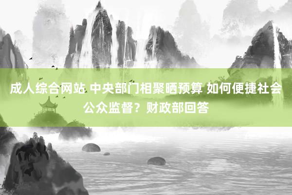 成人综合网站 中央部门相聚晒预算 如何便捷社会公众监督？财政部回答