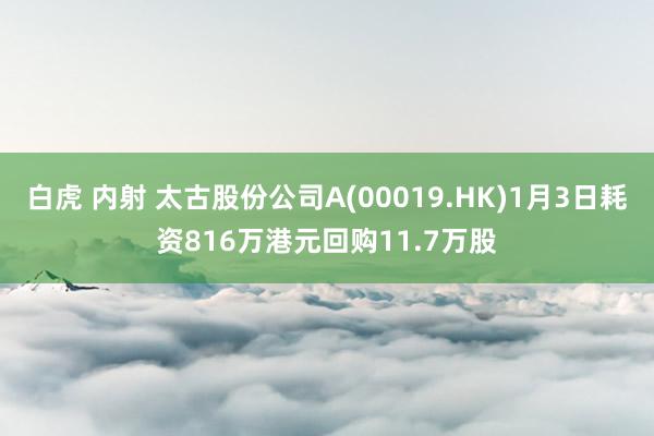 白虎 内射 太古股份公司A(00019.HK)1月3日耗资816万港元回购11.7万股