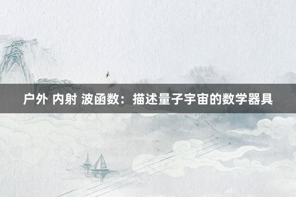 户外 内射 波函数：描述量子宇宙的数学器具