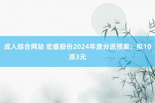成人综合网站 宏盛股份2024年度分派预案：拟10派3元