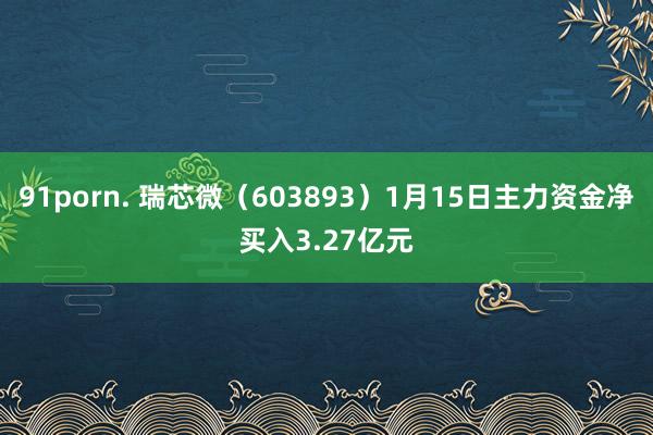 91porn. 瑞芯微（603893）1月15日主力资金净买入3.27亿元