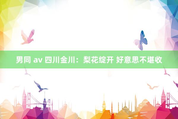 男同 av 四川金川：梨花绽开 好意思不堪收