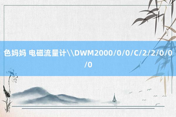 色妈妈 电磁流量计\DWM2000/0/0/C/2/2/0/0/0