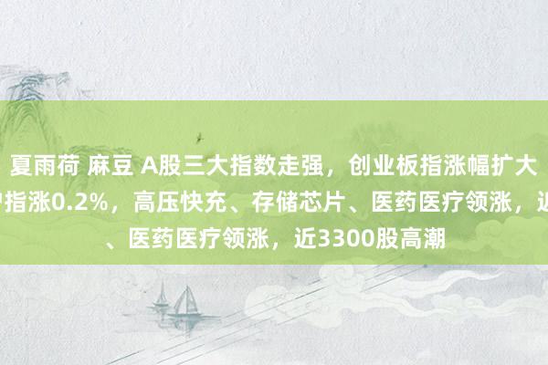 夏雨荷 麻豆 A股三大指数走强，创业板指涨幅扩大至1.04%，沪指涨0.2%，高压快充、存储芯片、医药医疗领涨，近3300股高潮