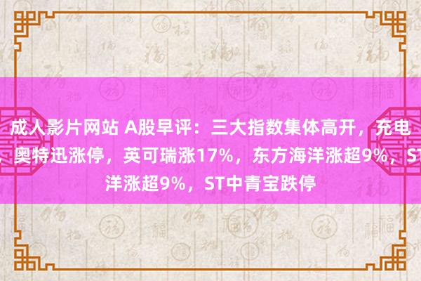 成人影片网站 A股早评：三大指数集体高开，充电桩见解活跃，奥特迅涨停，英可瑞涨17%，东方海洋涨超9%，ST中青宝跌停