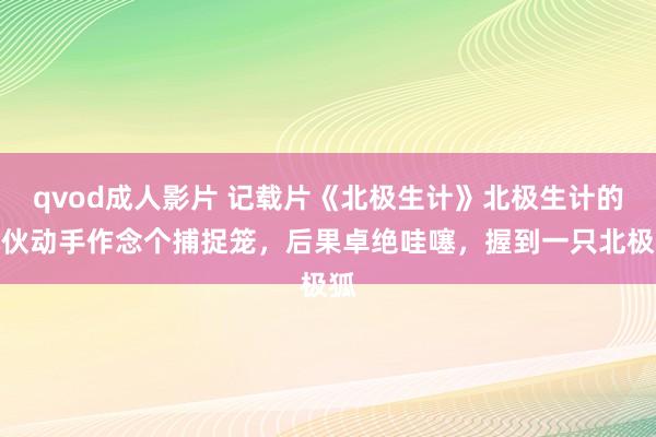 qvod成人影片 记载片《北极生计》北极生计的小伙动手作念个捕捉笼，后果卓绝哇噻，握到一只北极狐