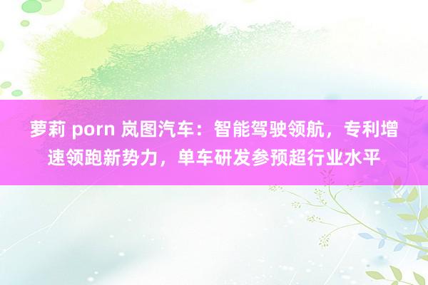 萝莉 porn 岚图汽车：智能驾驶领航，专利增速领跑新势力，单车研发参预超行业水平