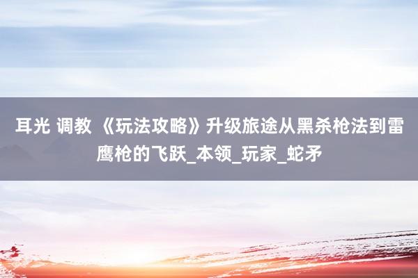 耳光 调教 《玩法攻略》升级旅途从黑杀枪法到雷鹰枪的飞跃_本领_玩家_蛇矛