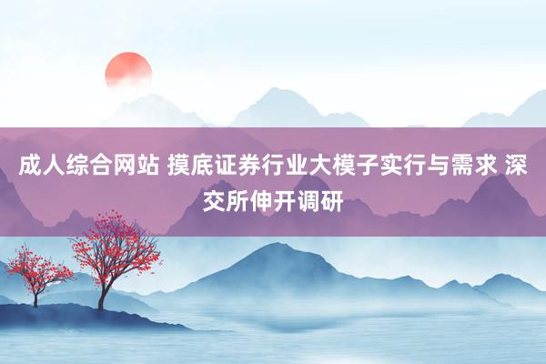 成人综合网站 摸底证券行业大模子实行与需求 深交所伸开调研