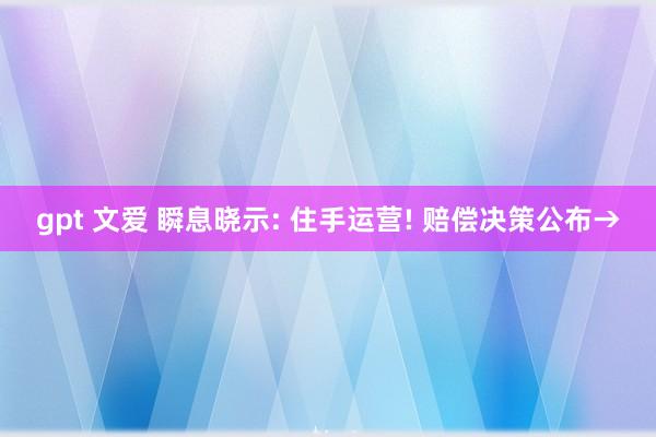 gpt 文爱 瞬息晓示: 住手运营! 赔偿决策公布→