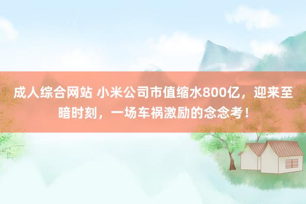 成人综合网站 小米公司市值缩水800亿，迎来至暗时刻，一场车祸激励的念念考！