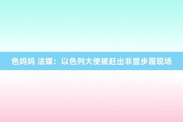 色妈妈 法媒：以色列大使被赶出非盟步履现场