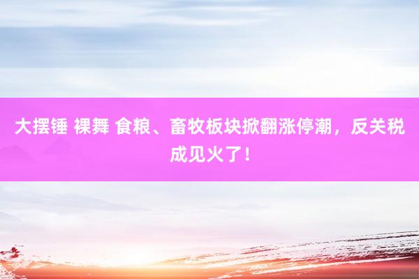 大摆锤 裸舞 食粮、畜牧板块掀翻涨停潮，反关税成见火了！