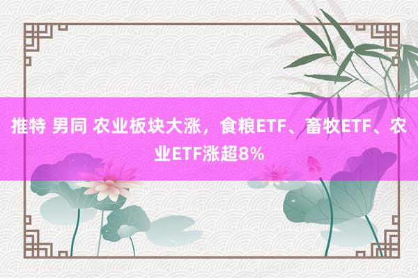 推特 男同 农业板块大涨，食粮ETF、畜牧ETF、农业ETF涨超8%