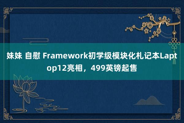 妹妹 自慰 Framework初学级模块化札记本Laptop12亮相，499英镑起售