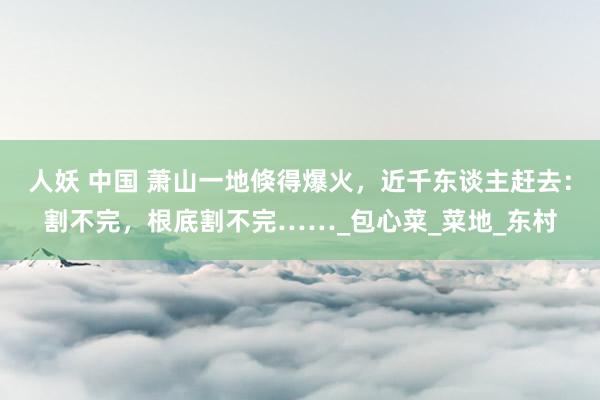 人妖 中国 萧山一地倏得爆火，近千东谈主赶去：割不完，根底割不完……_包心菜_菜地_东村